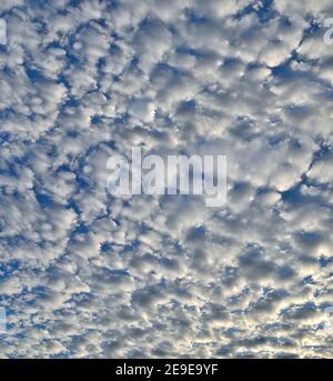 Natürlicher Hintergrund - weiße flauschige Stratocumulus Wolken auf blauem Himmel. Textur von ungewöhnlich bewölktem Himmel an sonnigen Tagen. Wolken mit Sonnenlicht beleuchtet. Mete Stockfoto