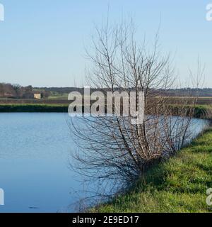 Landwirtschaftliche Teich in der Toskana Land an einem sonnigen Wintertag Stockfoto