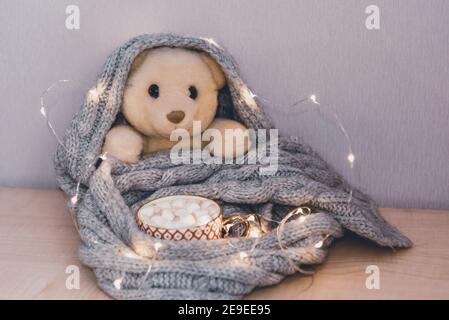 Ein weißer Teddybär ist in einen Schal gewickelt, neben einer Tasse heißer Schokolade mit Marshmallows in den Girlande-Lichtern Stockfoto