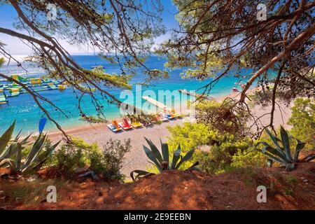 Zlatni Rat berühmter türkisfarbener Strand in Bol auf der Insel Brac frome Pinienwald, Goldenes Horn, Dalmatien Archipel von Kroatien Stockfoto