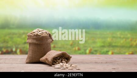 Kürbiskerne in Leinenbeutel, Kürbisfarm im Hintergrund. Kürbiskerne auf dem Tisch Stockfoto