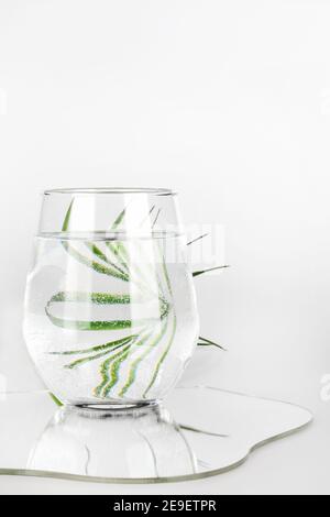 Palmblatt verzerrt durch Wasser in Glas mit Spiegel auf weißem Hintergrund. Reines Wasser, entspannen, surreal, umweltfreundliche Home-Konzept. Kopieren Raum. Stockfoto