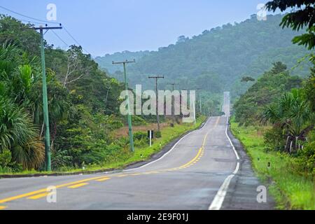 Route 174 / BR-174, Bundesstraße über Amazonas Regenwald / Regenwald / Dschungel im brasilianischen Bundesstaat Amazonas, Brasilien Stockfoto