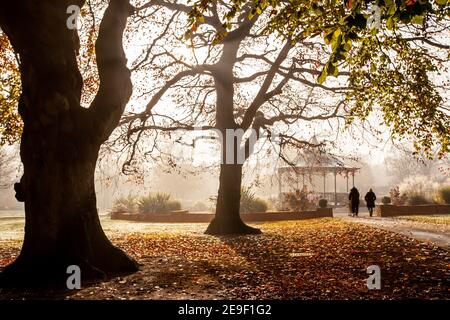 Herbstansicht durch die nebligen Herbstbäume zu einem schönen Bandstand und Paar zu Fuß Stockfoto