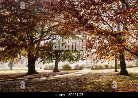 Herbstansicht durch die nebligen Herbstbäume zu einem schönen Bandstand Stockfoto