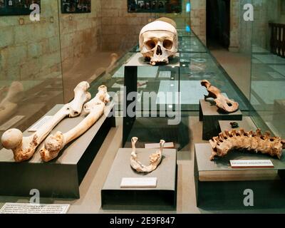 Museum im Gehege, die Objekte in den Ausgrabungen gefunden präsentiert. La Mota Festung, islamischen Ursprungs, auf dem Hügel mit dem gleichen Namen. Alcal Stockfoto