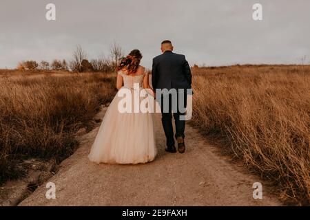 Brautpaar in der Liebe Hochzeit Brautpaar in einem weißen Kleid und Anzug sind zu Fuß auf langem Gras in einem Feld im Sommer. Mann und Frau halten die Hände Stockfoto
