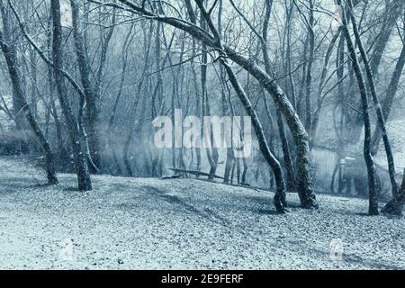 Karge Bäume am See, Schnee fällt und bedeckt alles, Winter Schneesturm Landschaft, Schneeflocken in der Luft Stockfoto