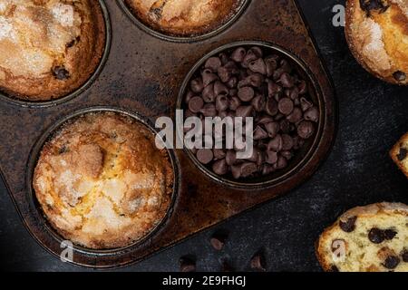 Frisch gebackene Schokoladen-Chip-Muffins und Schokoladenchips in einem Muffin-Dose Stockfoto