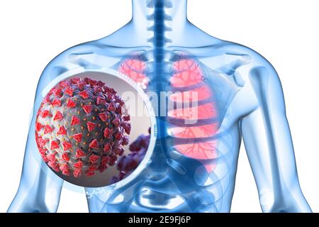 Illustration des Coronavirus ist ein Erreger, der die Atemwege angreift. 3D Abbildung Stockfoto