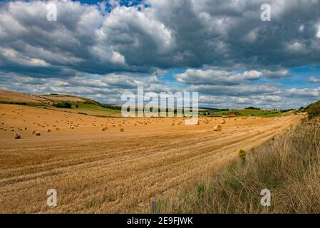 Landschaftsansicht eines Heuballen-Feldes auf den South Downs bei Clapham bei Arundel, West Sussex.England. Vereinigtes Königreich Stockfoto
