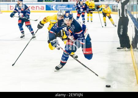 04,02.2021, Zürich, Hallenstadion, Nationalliga: ZSC Lions - SC Bern, # 76 Noah Meier (ZSC) gegen # 10 Tristan Scherwey (Bern) Stockfoto