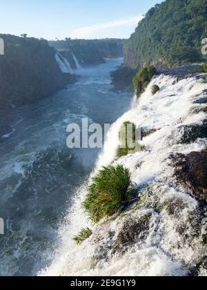 Blick auf die Wasserfälle von Iguazú, Cataratas do Iguaçu, von der brasilianischen Seite, Paraná, Brasilien. Stockfoto