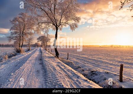 Sonnenaufgang in Wiesmoor, Eastfrisa an einem kalten Wintermorgen mit Schnee und einem bunten Sonnenaufgang. Stockfoto