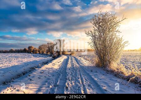 Sonnenaufgang in Wiesmoor, Eastfrisa an einem kalten Wintermorgen mit Schnee und einem bunten Sonnenaufgang. Stockfoto