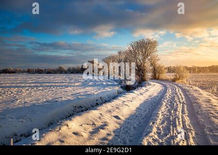 Sonnenaufgang in Wiesmoor, Eastfrisa an einem kalten Wintermorgen mit Schnee und einem bunten Sonnenaufgang. Stockfoto