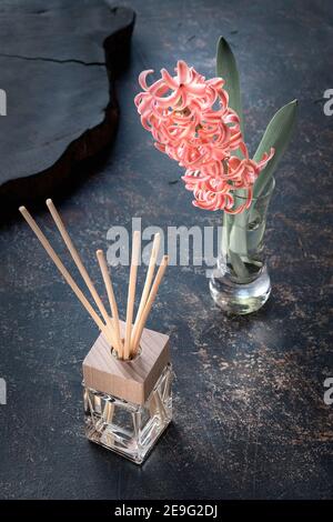 Moody dunklen Hintergrund mit Aroma Schilf Diffusor und rosa Hyazinthe Blume in Glas auf gealterten strukturierten Hintergrund. Verzweifelter Grunge, Retro-Stil getönt Stockfoto