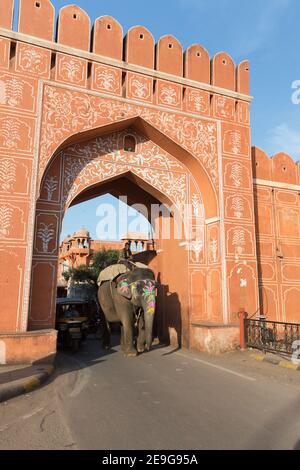 Indien Jaipur Elefant und Mahout Pass durch Aimeri Tor der Altstadt Stockfoto