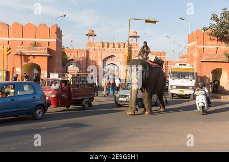 Indien Jaipur Elefant und Mahout Pass durch Aimeri Tor der Altstadt Stockfoto