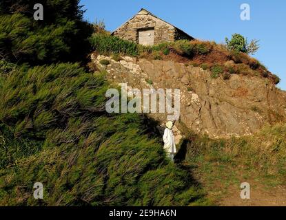 Junge Frau, Die An Den Steilen Klippen Von Lizard Point Steht Cornwall England an EINEM sonnigen Sommertag mit EINEM klaren Blauer Himmel Stockfoto