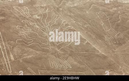 Baum und Hände Geoglyphen, Nazca oder Nasca geheimnisvolle Linien und Geoglyphen Luftbild, Wahrzeichen in Peru Stockfoto