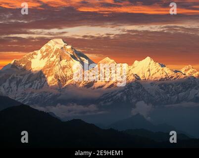 Mount Dhaulagiri, Abendansicht von Mount Dhaulagiri, Himalaya, Nepal Stockfoto