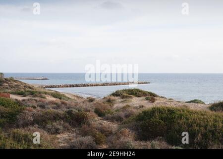 Dunas de Artola - Naturpark in Marbella, Costa del Sol, Spanien. Holzweg, touristische Attraktionen. Stockfoto