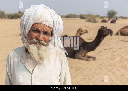 Indien Jaisalmer Porträt des Kameltreibers mit Kamelen in der Wüste vor Jaisalmer. Stockfoto