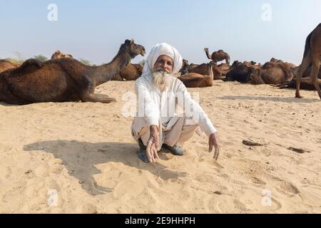 Indien Jaisalmer Porträt des Kameltreibers mit Kamelen in der Wüste vor Jaisalmer. Stockfoto