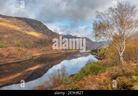 Glencoe, Schottland: Birke und Fallbeil entlang des Loch Leven mit Bergreflexen Stockfoto