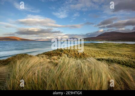 Isle of Lewis and Harris, Schottland: Dünengräser und türkisblauen Wasser von Luskentire Beach auf South Harris Island Stockfoto