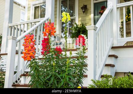 Alabama Montgomeery Pike Road das Wasser geplante Gemeinschaftshäuser, traditionelle Americana Architektur Veranda Vordereingang Außenblumen, Stockfoto