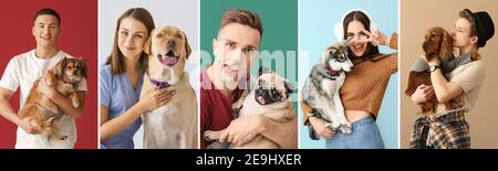 Collage von jungen Besitzern und ihren niedlichen Hunden auf Farbe Hintergrund Stockfoto