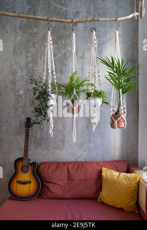 Handgemachte Macrame Pflanzen hängen Kleiderbügel aus Holz Zweig, Akustikgitarre auf roter Couch in gemütlichen Hause. Stockfoto