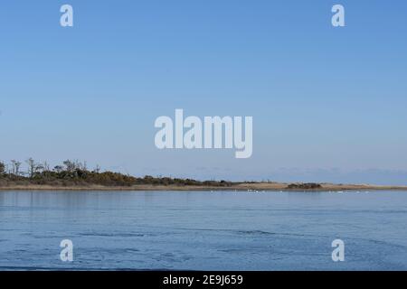 Landschaft von Virginia Marschland mit Tundra Swans in einer Entfernung Stockfoto