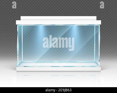 Aquarium Glasbox, Terrarium mit Hintergrundbeleuchtung isoliert auf transparentem Hintergrund. Leer beleuchteter Tank für Wasser und Fische, Ausstellungsvitrine, Innendekoration, realistische 3D Vektor-Illustration Stock Vektor