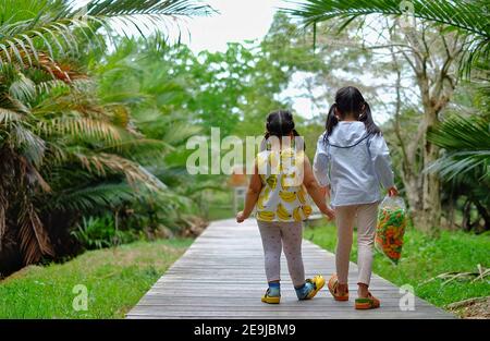 Rückansicht von zwei niedlichen jungen asiatischen Schwestern, die zusammen auf einem Pfad in einem Garten gehen und die Hände halten. Stockfoto