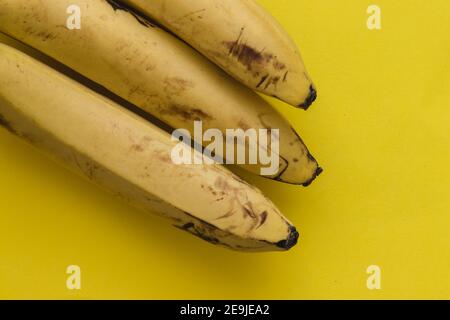 Drei reife Bananen auf gelbem Hintergrund Stockfoto