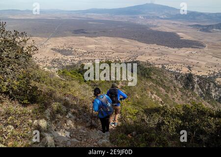 Rückansicht von zwei abenteuerlichen Wanderern, die einen Felsen hinunterwandern Berg bedeckt mit Grün Stockfoto