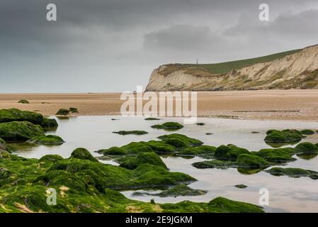 Cap Blanc nez par temps gris, Frankreich, Pas de Calais, été Stockfoto
