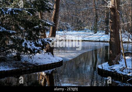 Berlin, Deutschland. Januar 2021, 31st. Schnee liegt im Zoo. Quelle: Jens Kalaene/dpa-Zentralbild/ZB/dpa/Alamy Live News Stockfoto