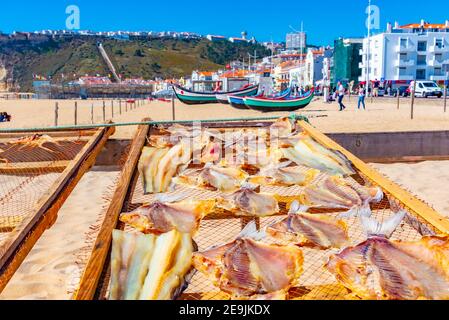 Seafood Trocknen an der Sonne in Nazare, portugal Stockfoto