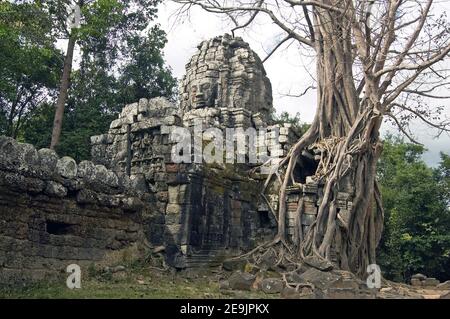 Zerstörtes Tor am Ta Som Tempel, Teil des Angkor Komplexes in Kambodscha. Der alte Khmer-Tempel ist mit Kapok und strangulenden Feigenbäumen überwuchert. Ein Stockfoto
