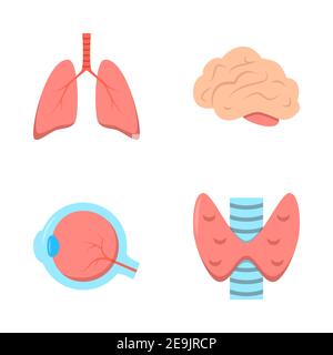 Symbol für menschliche innere Organe im flachen Stil. Schilddrüse, Augapfel, Gehirn und Lunge Symbole Sammlung. Vektorgrafik. Stock Vektor