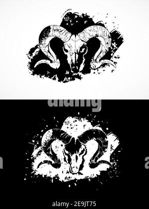 Vektor-Illustration mit wilden RAM Schädel. Zwei Varianten: Schwarz-weiße Silhouetten mit Grunge-Textur und Flecken. Für T-Shirts, Poster und andere Sie Stock Vektor