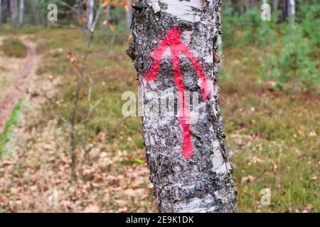 Pfeil oder Richtungszeichen auf einem Baumstamm mit heller Farbe. Stockfoto