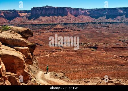 Frau Mountainbiker auf White Rim Road, in Murphy Hogback, Murphy Point Cliffs in der Ferne, Canyonlands National Park, Utah, USA Stockfoto