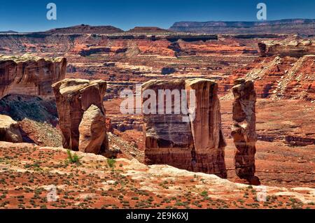 Klippen in der Nähe von Murphy Hogback, Blick von der White Rim Road, Canyonlands National Park, Utah, USA Stockfoto