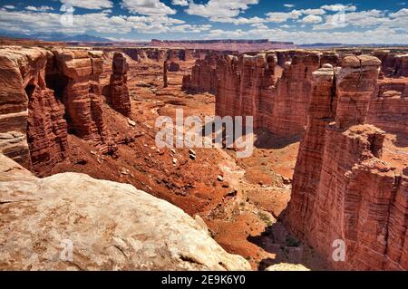 Monument Basin, Blick von der White Rim Road, Canyonlands National Park, Utah, USA Stockfoto