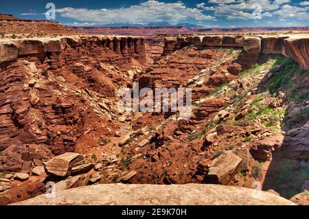 Gooseberry Canyon, Blick von der White Rim Road, Canyonlands National Park, Utah, USA Stockfoto